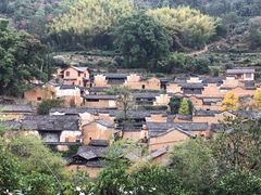 -杨家堂村