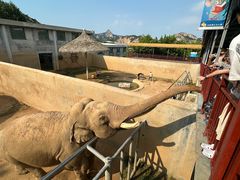-西霞口神雕山野生动物世界