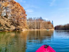 -上海海湾国家森林公园