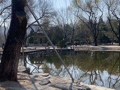 -玲珑塔公园