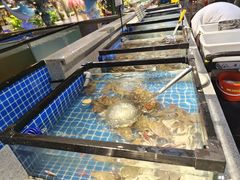-圣罗巴海鲜自助(黑金店)