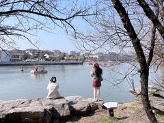 -八大山人梅湖景区