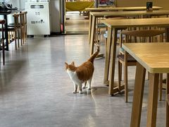-小狗面馆(复兴店)