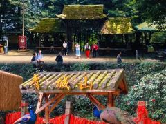 -青城山