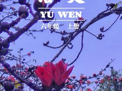 -广州中山纪念堂
