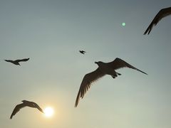 -星海广场