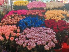 -越秀西湖花市(广州城市广场花卉店)