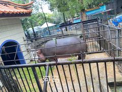 -昆明动物园