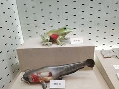 -浙江自然博物院(杭州馆)