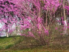 -九里河湿地公园