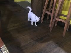 -陀岗美食·云南藏式特色餐厅