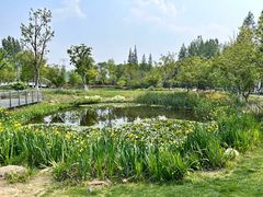 -昆山城市生态森林公园