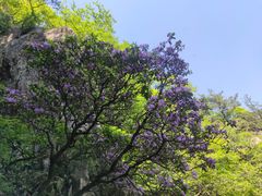 -尧山风景区