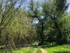 -长春市南湖公园