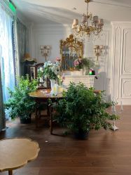 -WAVE SODA摄影工作室