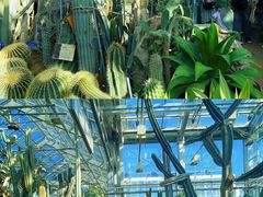 -国家植物园