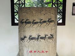 -上海醉白池公园