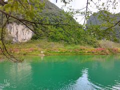 -靖西鹅泉风景区