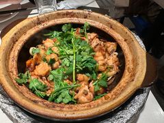 沙姜嗜鸡-煲煲好(朝阳门店)