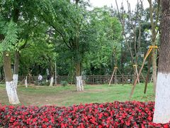 -铁山坪森林公园