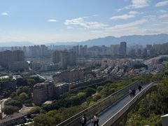 -福道