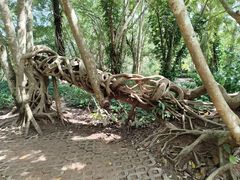 -中国科学院西双版纳热带植物园