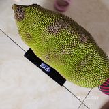 一角有点烂了，然后称了下不够重量