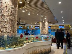 -小平岛开海水饺(皇姑店)