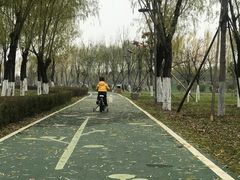 -洨河生态公园