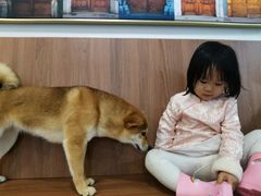 -柯斗斗主题餐厅·狗咖·围炉煮茶·茶饮(国瑞升平里店)