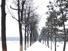 -汉长安城未央宫国家考古遗址公园