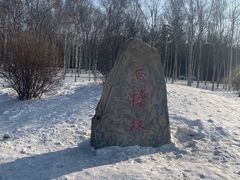 -长春市南湖公园