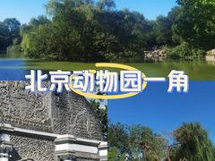 -北京动物园