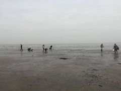 -东疆建设开发纪念公园