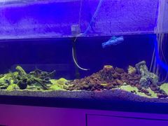 -MOJO密室逃脱(中街旗舰店)