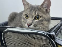 -拜鲁耶动物诊疗中心·宠家动物医院