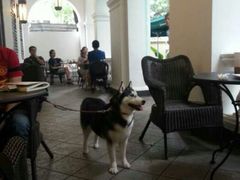 android_upload_pic-星巴克臻选(广州沙面店)