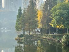 -重庆彩云湖湿地公园
