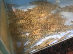 -老街坊美食汇(玉兰大街店)