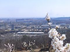 -白水寺森林公园