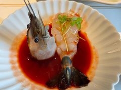 -觀芷隐轩