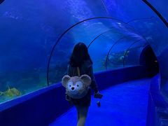 -左海海底世界