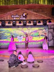 -Zoolung Zoolung动物主题公园(海信广场店)