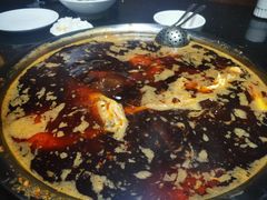 -花鲢鱼头火锅(春城东路店)