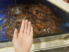 -海景壹号大酒店(滨湖店)