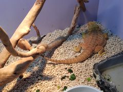 -昆明大悦城未来动物城(螺蛳湾中心店)