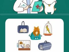 -虹泰宠物医院 ·旗舰店·24h(南秀路店)