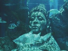 -暹罗海洋世界