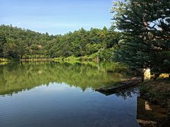 -广州白江湖森林公园