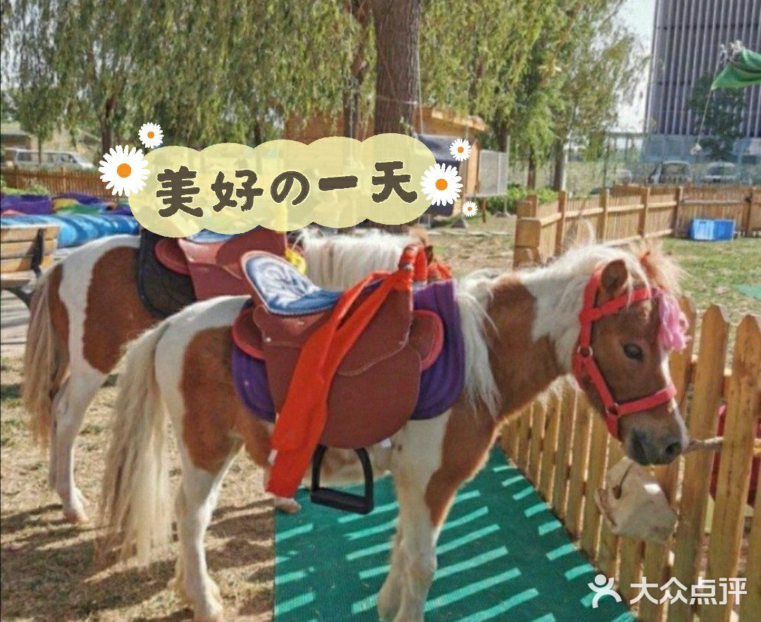 去萌宠农场，和不一样的朋友过六一呀~